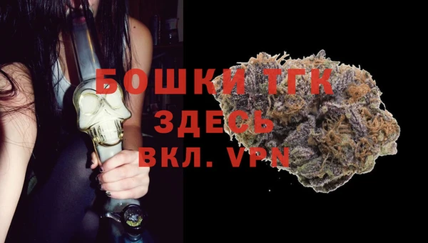 гашик Алексин