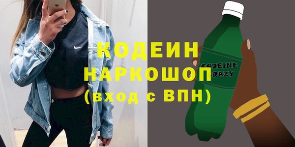 гашик Алексин