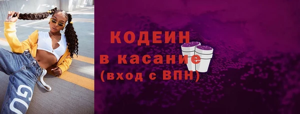 гашик Алексин