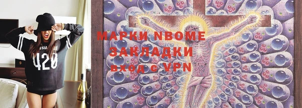 гашик Алексин