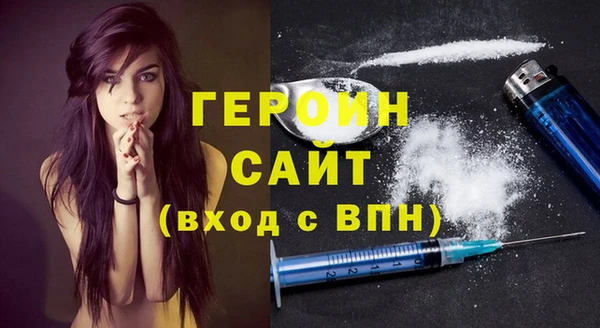 гашик Алексин