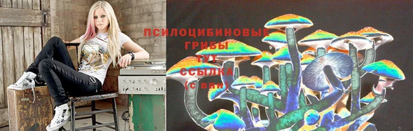 альфа пвп Алзамай