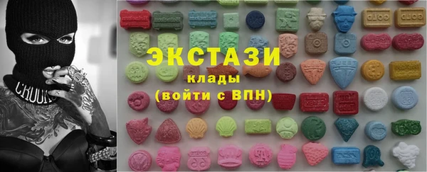 гашик Алексин