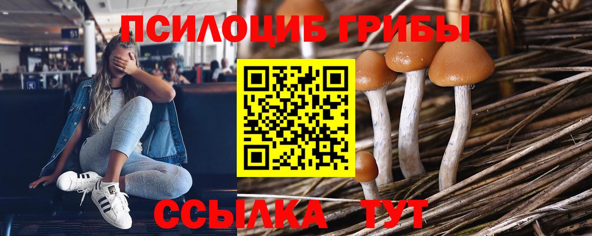 Старая Купавна  наркошоп  Вход с VPN  Псилоцибиновые грибы GOLDEN TEACHER 